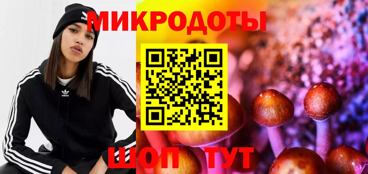 Галлюциногенные грибы Cubensis Пугачёв