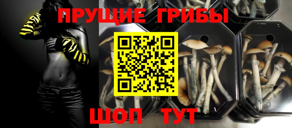 Псилоцибиновые грибы мухоморы  Вход с VPN  Пугачёв 